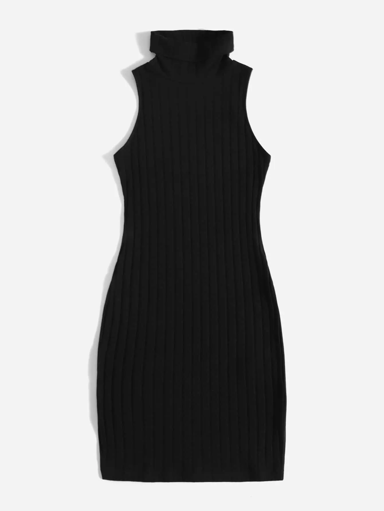 Turtleneck Ribbed Knit Dress