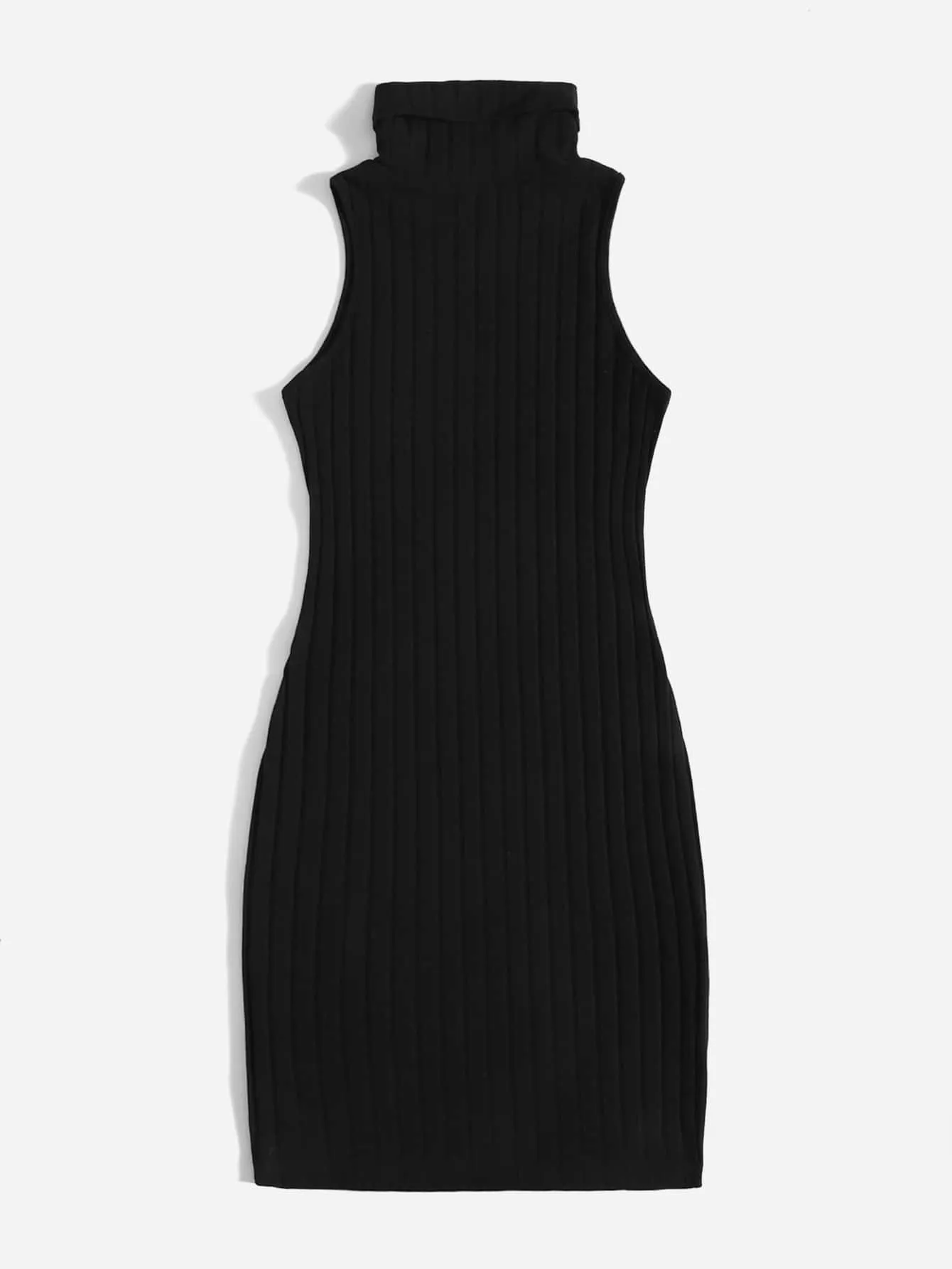 Turtleneck Ribbed Knit Dress