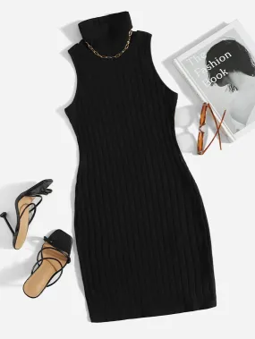 Turtleneck Ribbed Knit Dress
